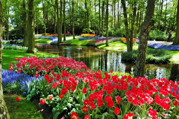 Dans le parc floral de Keukenhof au Pays-Bas