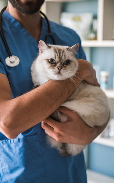 Que faire si votre animal est intoxiqu&eacute;&nbsp;?