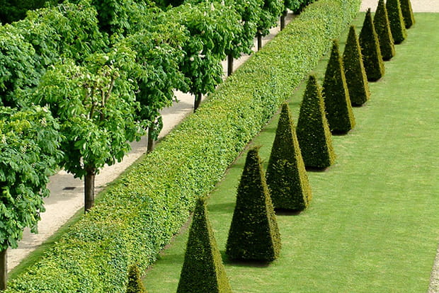 Jardins du Château de Meudon (Hauts-de-Seine)