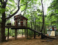 Les rois de la cabane : La cabane de mon enfance