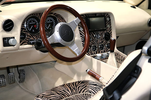 Finition intérieure zébrée