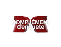 Complément d'enquête : Notes de frais, resquille : les rois de la triche
