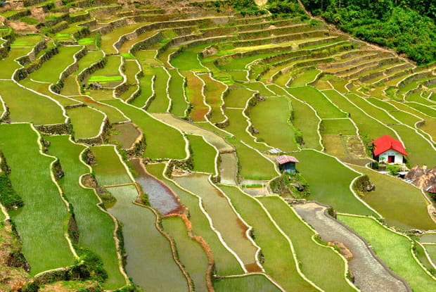 Les Rizières de Banaue aux Philippines