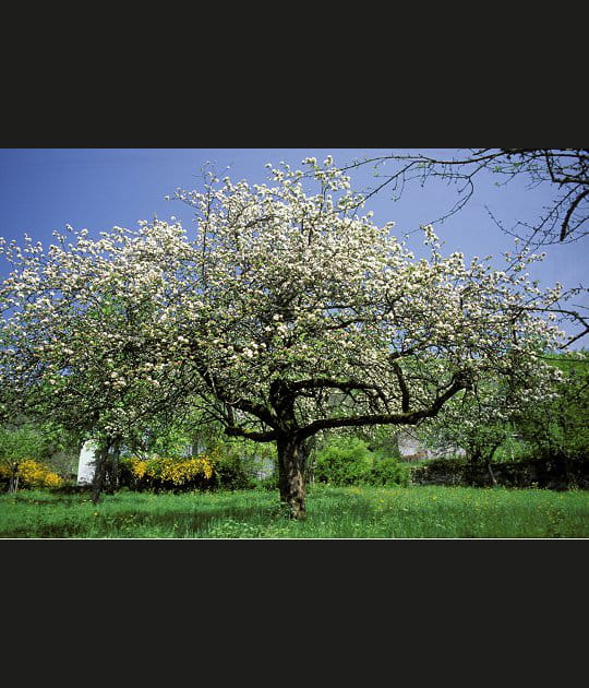 La nature dans toute sa splendeur