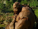 Warcraft : le commencement