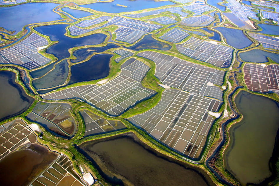 Les marais salants de Gu&eacute;rande