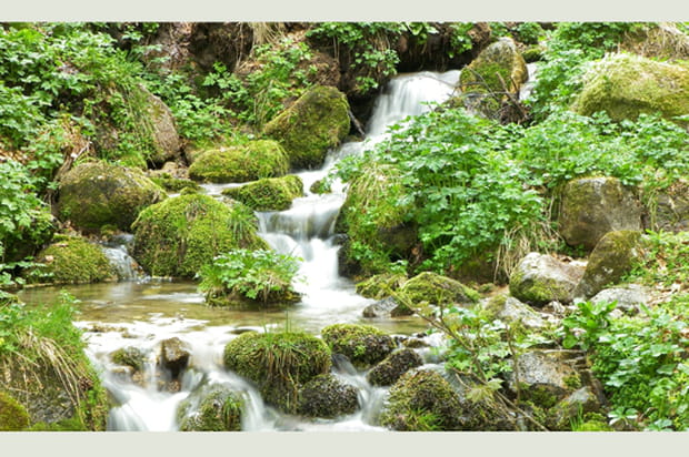 Quand l'eau se fige...