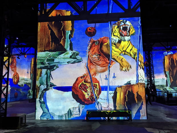 Rêve causé par le vol d'une abeille