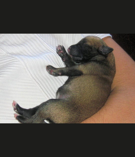 Les premiers instants