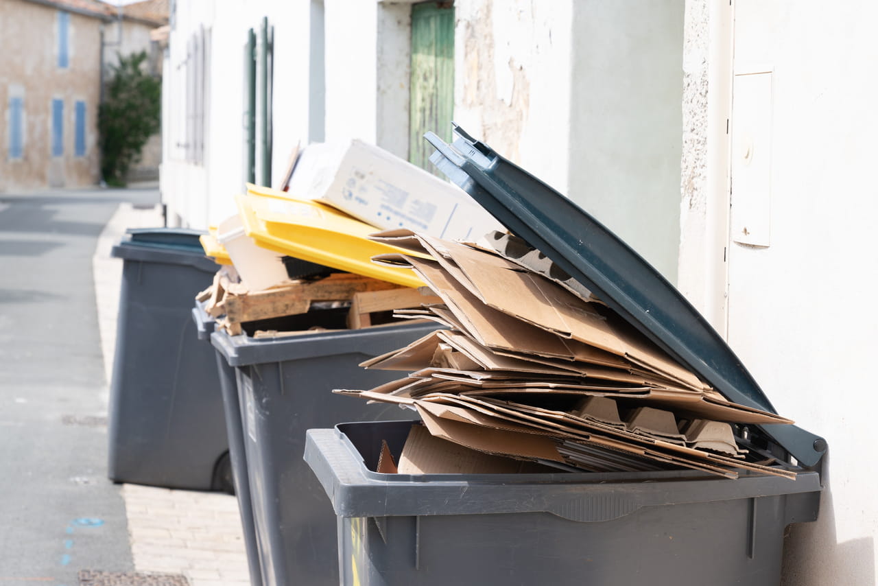Des cartons tombent de sa poubelle de recyclage, elle reçoit une amende très salée