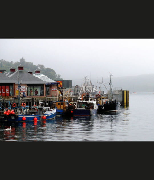 Le port d'Oban