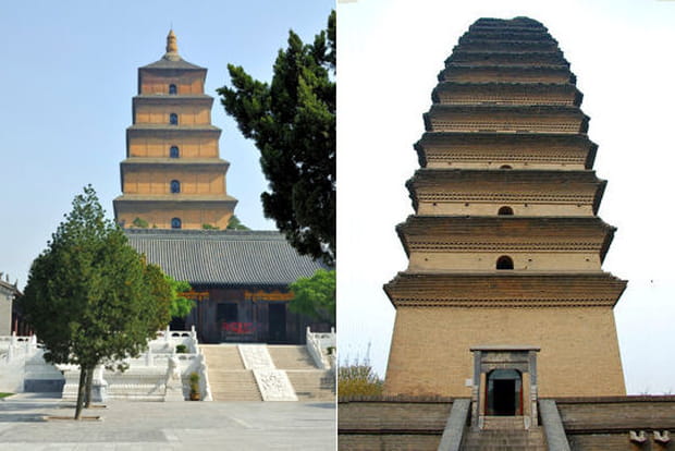 Tournée vers le ciel