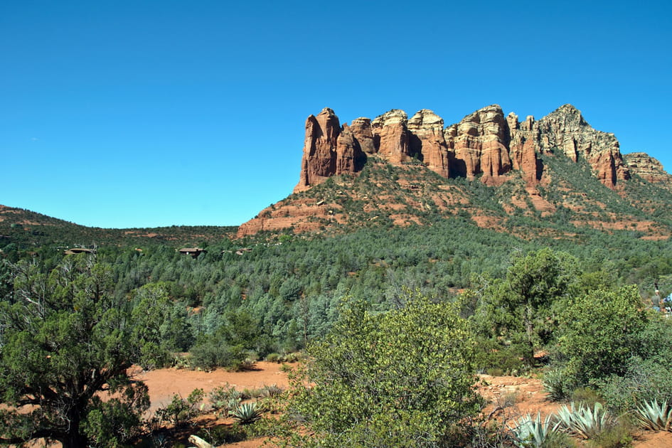 La for&ecirc;t de Coconino en Arizona