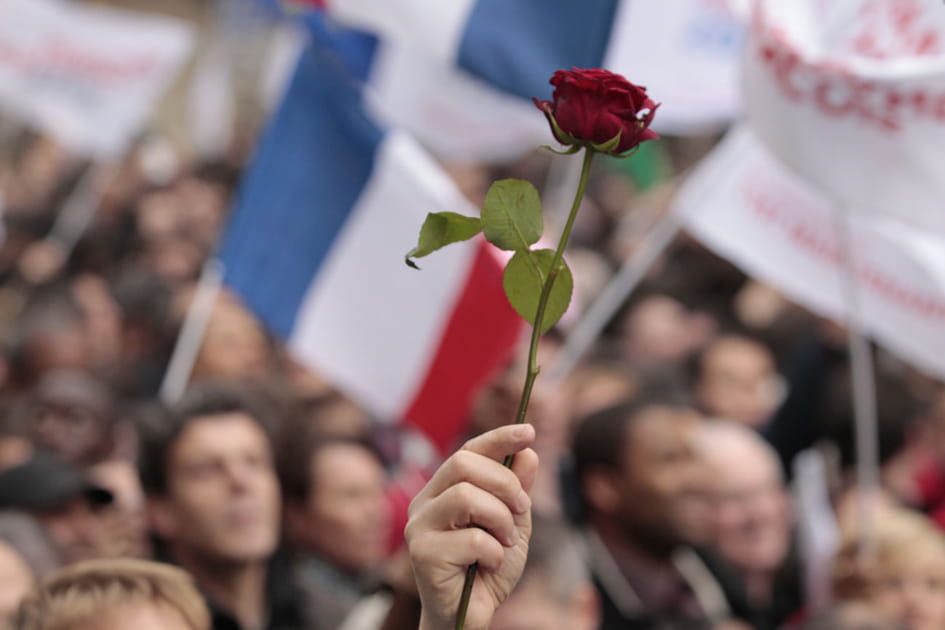 Rose socialiste