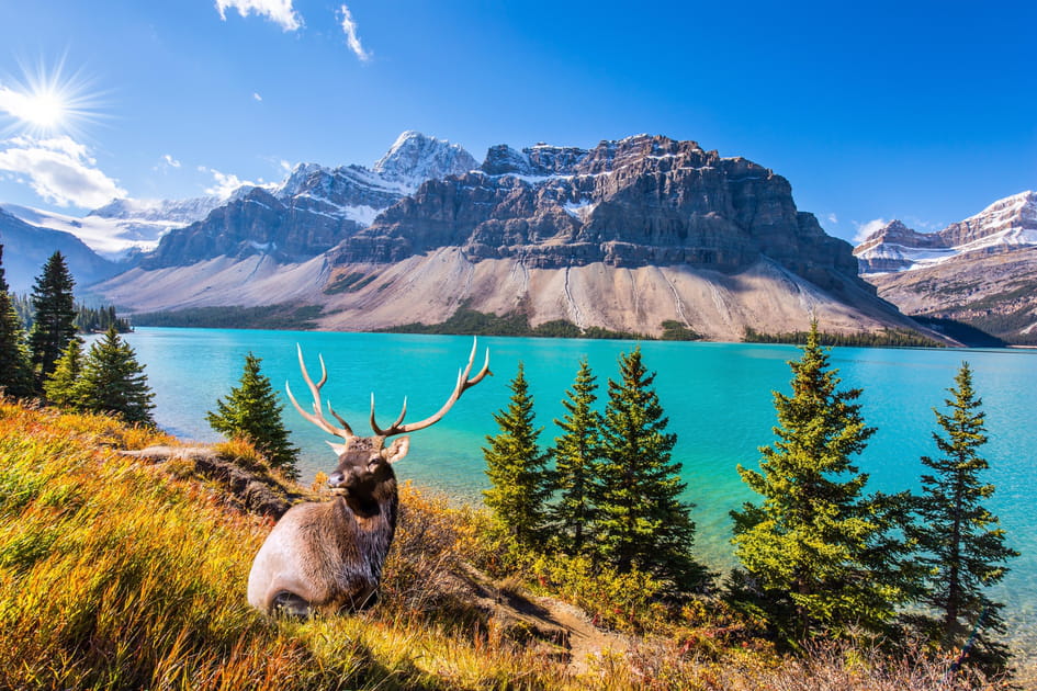 Canada