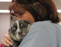 Urgences Animales : Des gestes héroïques