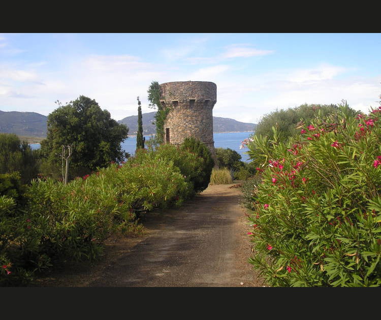 La tour g&eacute;noise de Propriano