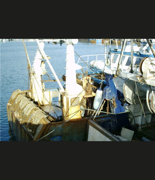 La p&ecirc;che &agrave; bord des coquillards