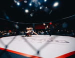 MMA : Countdown UFC