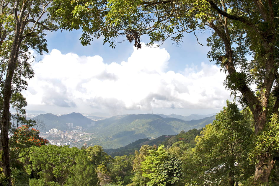 R&eacute;serve de biosph&egrave;re du mont Penang, Malaisie
