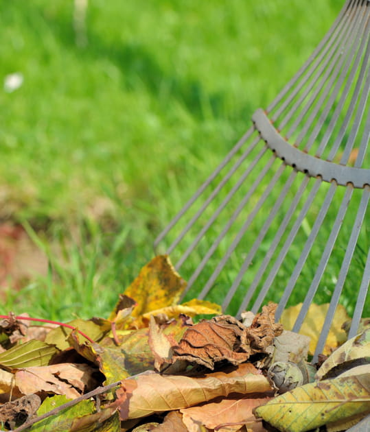 Nos conseils pour bien pr&eacute;parer son jardin et sa terrasse pour l'hiver