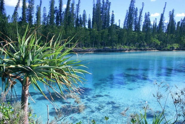 Délicieuse piscine naturelle