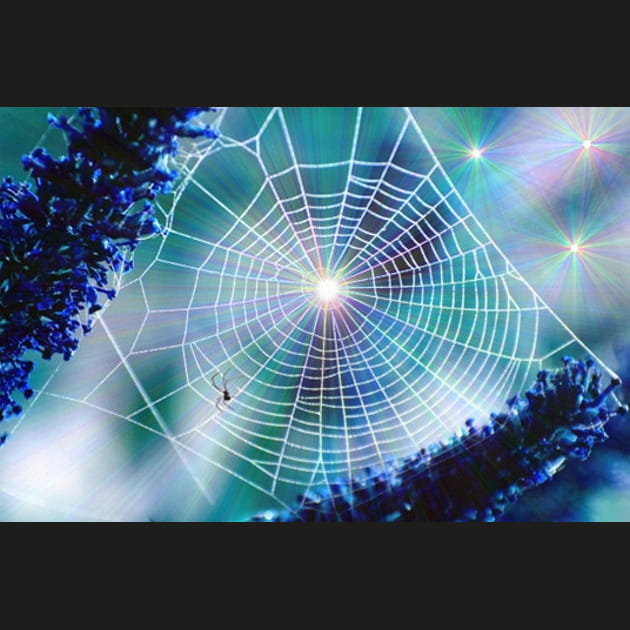 Rayons