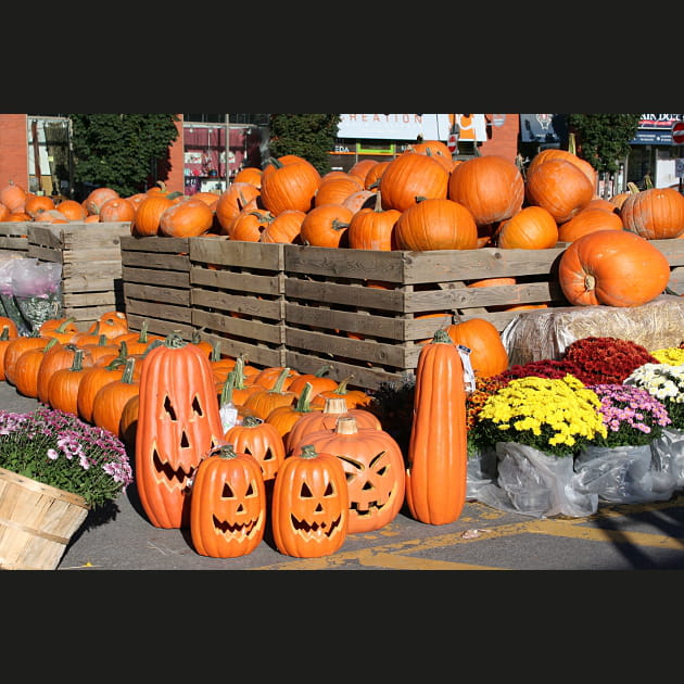 Se pr&eacute;parer pour Halloween