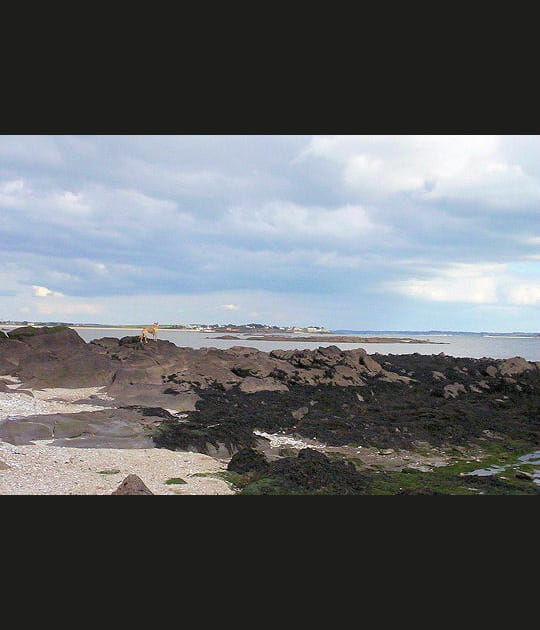 Une l&eacute;gende bretonne &agrave; l'origine des &icirc;les