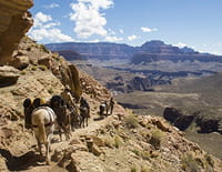 Unbranded : Unbranded, l'odyssée des mustangs