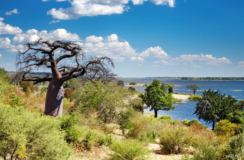 Botswana- Zambie&nbsp;: la plus belle fronti&egrave;re