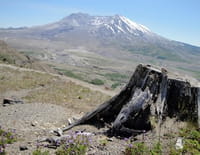 Planète Terre : aux origines de la vie : Le mont Saint-Helens