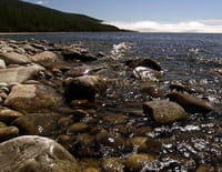 Indonésie sauvage : Russie, Sibérie