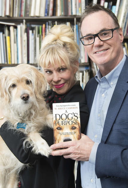 &quot;Mes vies de chien&quot;&nbsp;: une vid&eacute;o truqu&eacute;e