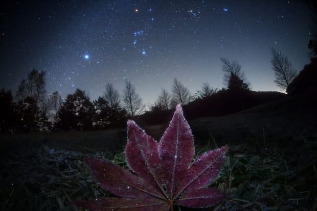 Masahiro Miyasaka remporte le Prix de la photo d'Astronomie 2012
