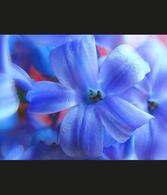 Des couleurs plein les yeux&nbsp;!