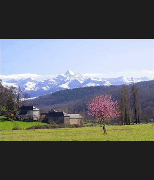 La neige est revenue