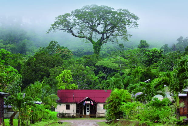 11e : Saül en Guyane