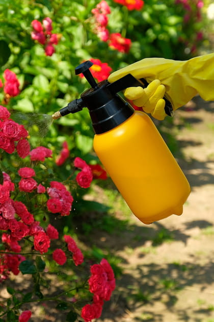 L'exposition aux pesticides dangereuses pour la sant&eacute;