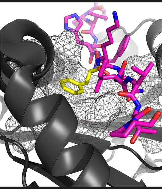 Mol&eacute;cules en vrac