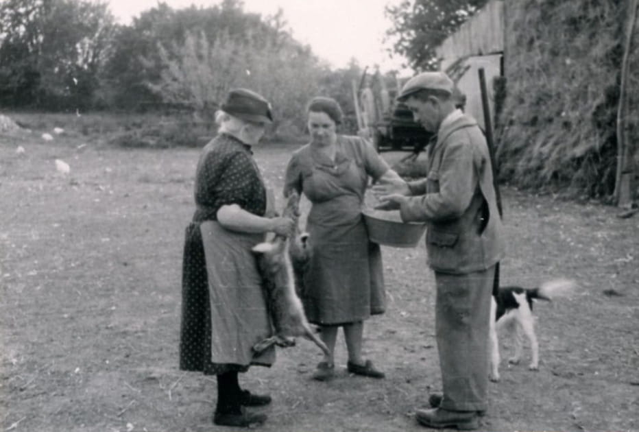 La saison de la chasse