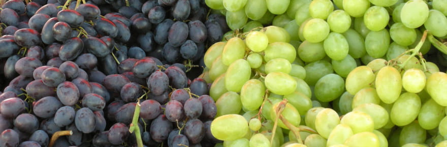 Ni vinaigre blanc ni eau du robinet&nbsp;: la meilleure fa&ccedil;on de laver le raisin et &eacute;liminer les pesticides