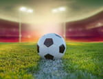 Bundesliga Review