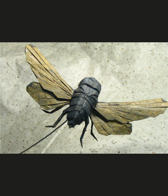 Bzzz