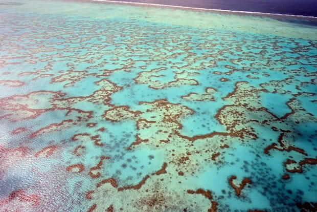 Australie, une odyssée sur la côte est