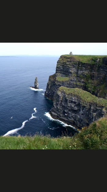 Verte Irlande