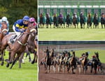 L'intégrale des courses