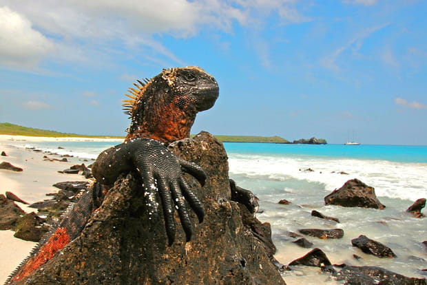 Les Galapagos, les paradis perdus