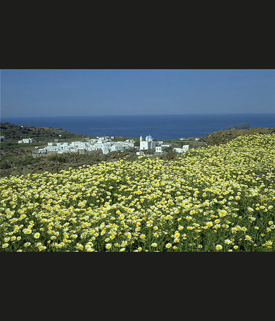 Paisible Sifnos