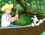 Les aventures de Tintin